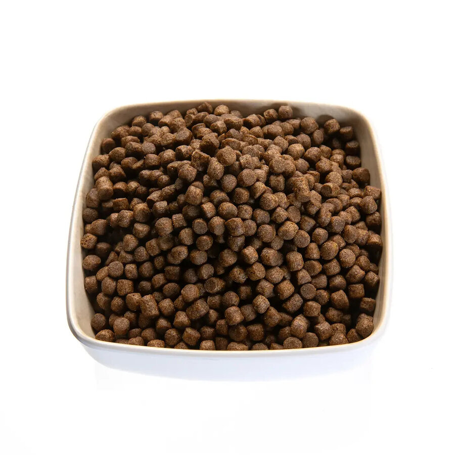Grower drijvend koivoer
