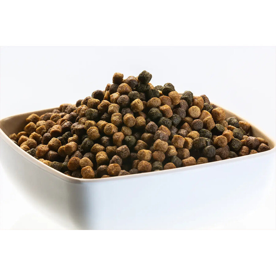 Japan Mix compleet koivoer