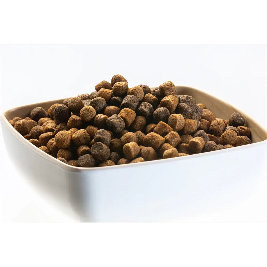 Jumbo Mix drijvend koivoer voor grote en oudere koi | 15 kg