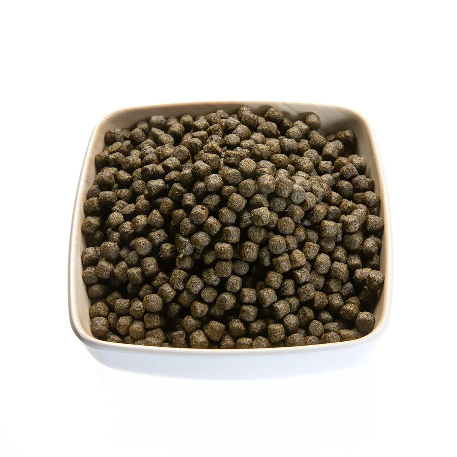Drijvend kleurvoer met spirulina voor koi