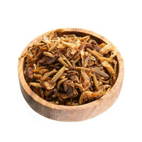Koi Treats Mix natuurlijke insectensnack voor koi