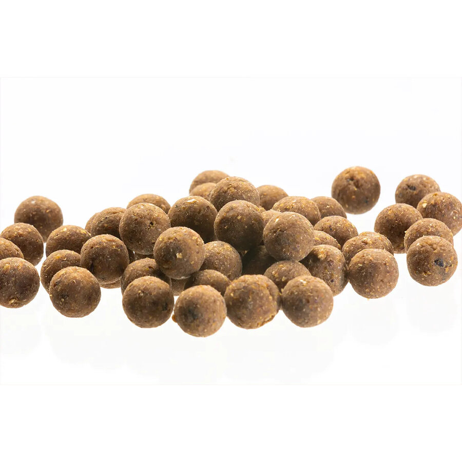 Bombyx Mori zinkende karperboilies