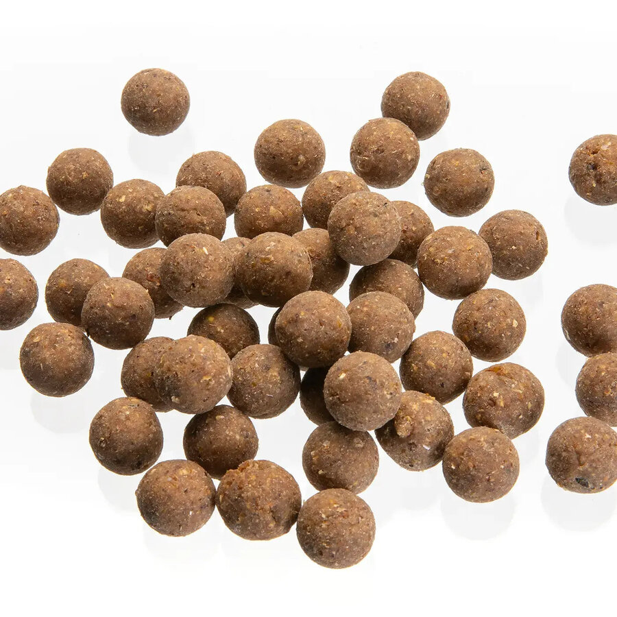 Bombyx Mori zinkende karperboilies