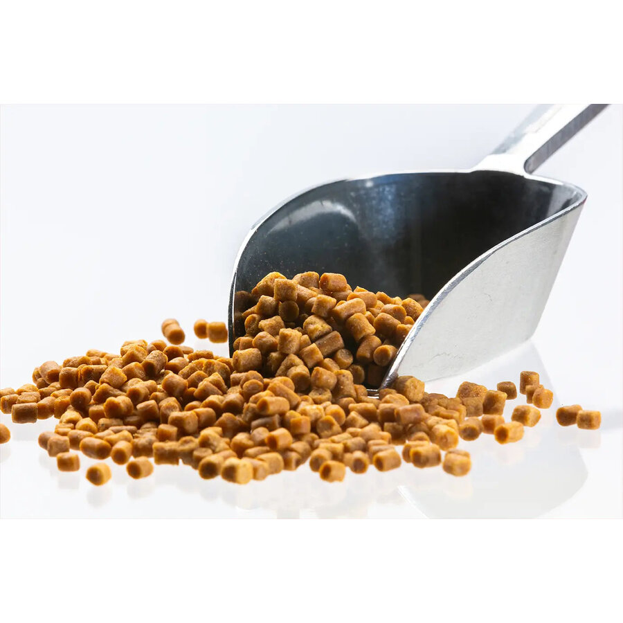 Cichliden pellets zinkend visvoer | 4,5 mm 5 kg zak