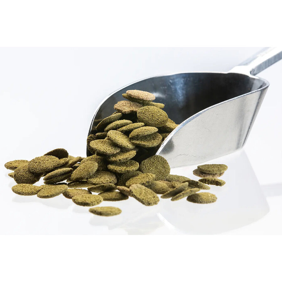 Algenwafers met spirulina zinkend visvoer | 12 mm 5 kg