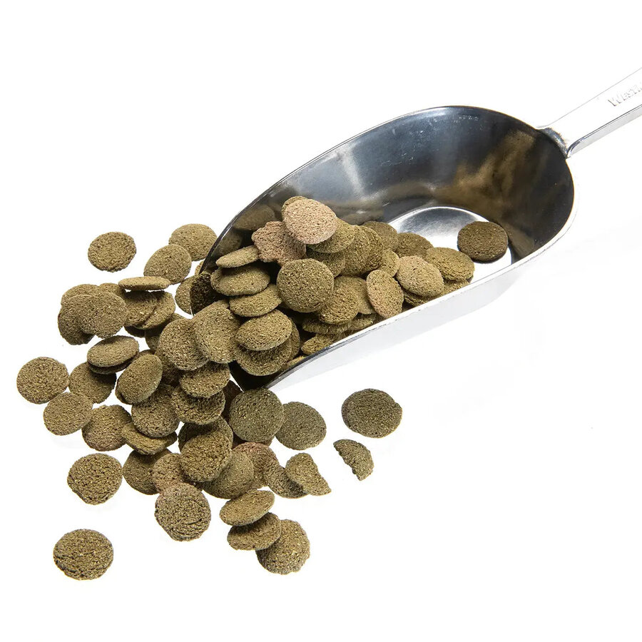 Algenwafers met spirulina zinkend visvoer | 12 mm 5 kg