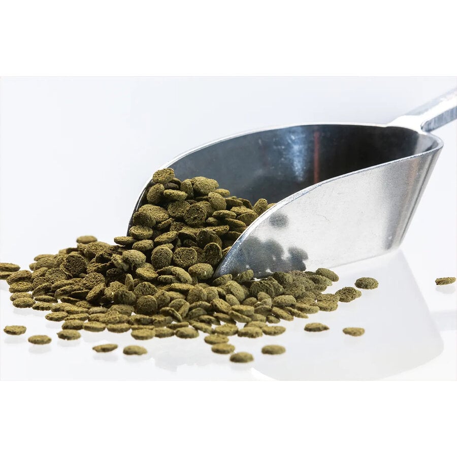 Mini wafels met spirulina  voor bodemvissen | 7 mm 5 kg