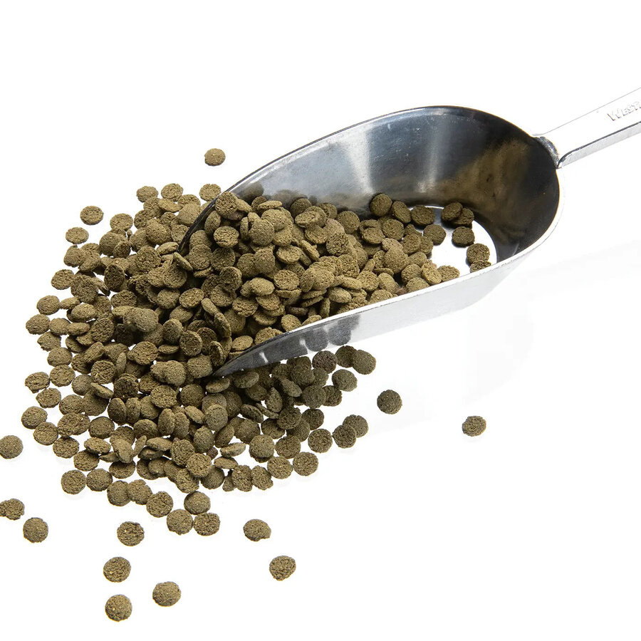 Mini wafels met spirulina  voor bodemvissen | 7 mm 5 kg