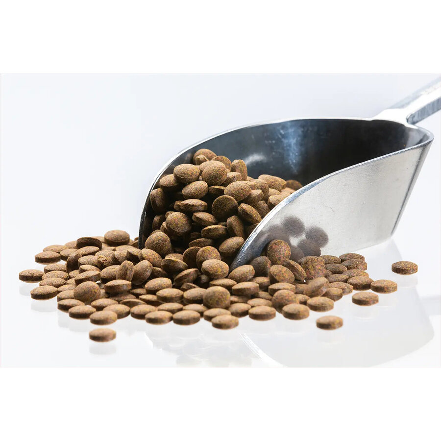 Bruine kleeftabletten voor aquariumvissen volledig visvoer | 5 kg