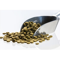 Groene zinkende bodemtabletten voor algeneters en siervissen | 5 kg