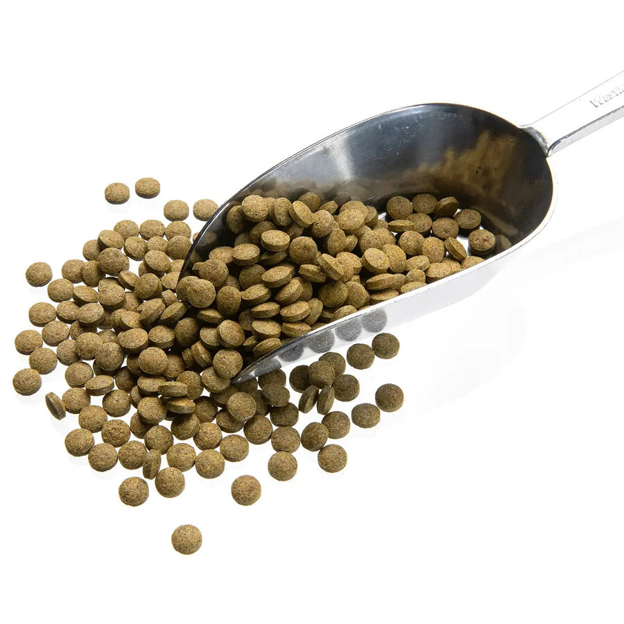 Groene zinkende bodemtabletten voor algeneters en siervissen | 5 kg
