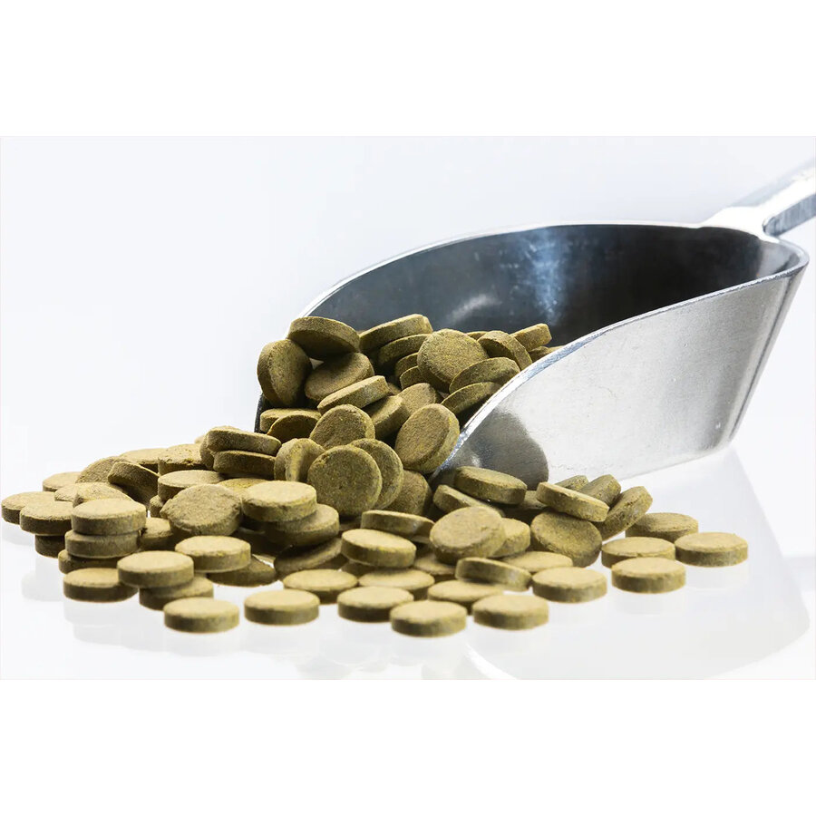Groene kleeftabletten met spirulina voor aquariumvissen 5 kg