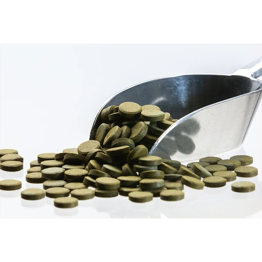 Spirulina kleeftabletten 6% voor aquariumvissen | 5 kg