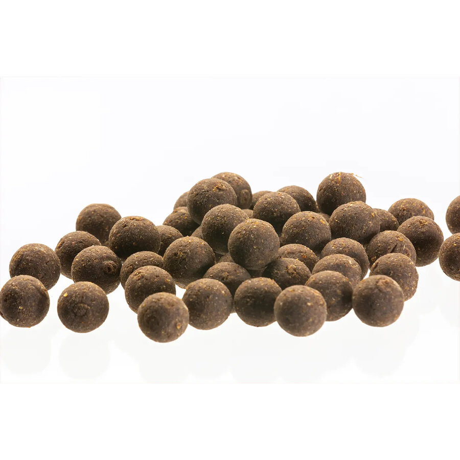 Grubelicious zinkende insectenboilies voor karper