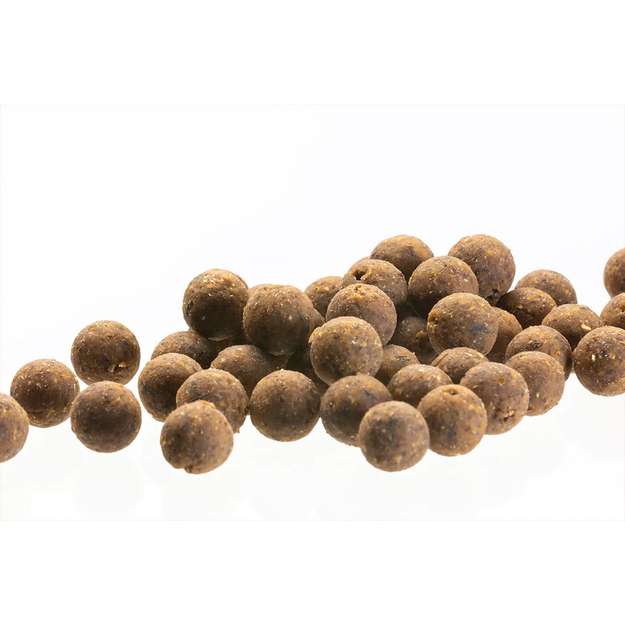 Black Caramel boilies voor karper