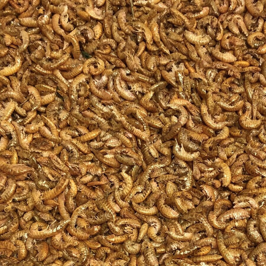 Gedroogde gammarus natuurlijk lokvoer voor karper | 1 kg