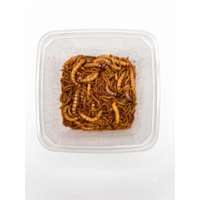 Levende voederwormen mix met meelwormen, moriowormen en buffalowormen 50 g