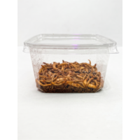 Levende voederwormen mix met meelwormen, moriowormen en buffalowormen 50 g