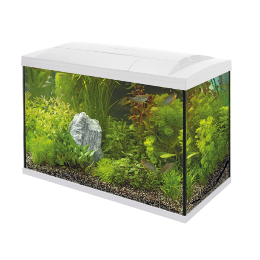 Superfish Start 150 Tropical Kit | 153L | 78 x 39 x 55 CM Wit