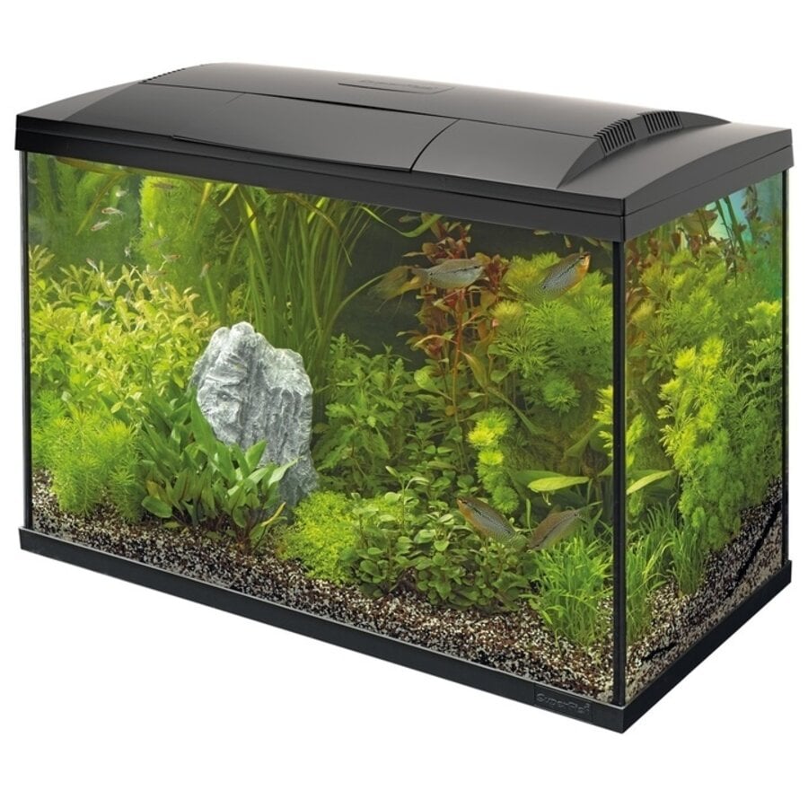 Superfish Start 100 Tropical Kit | 93L | 68 x 34 x 46 CM Zwart