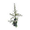 Larix decidua | Europese lariks | 90 cm hoog | 23 cm pot