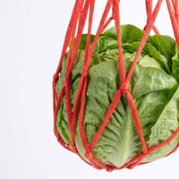 Voedernet voor kippen rood 50 x 18 cm | nylon snackhouder voor groenvoer
