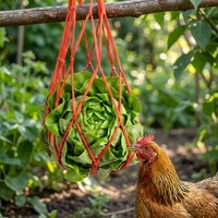 Voedernet voor kippen rood 50 x 18 cm | nylon snackhouder voor groenvoer