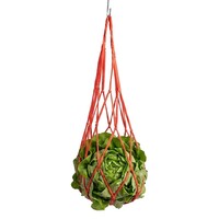 Voedernet voor kippen rood 50 x 18 cm | nylon snackhouder voor groenvoer
