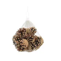 Natuurlijke dennenappels in net voor herfst- en terrariadecoratie