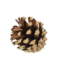 Natuurlijke dennenappels in net voor herfst- en terrariadecoratie