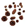 Decoratief strooisel Coney dennenappels