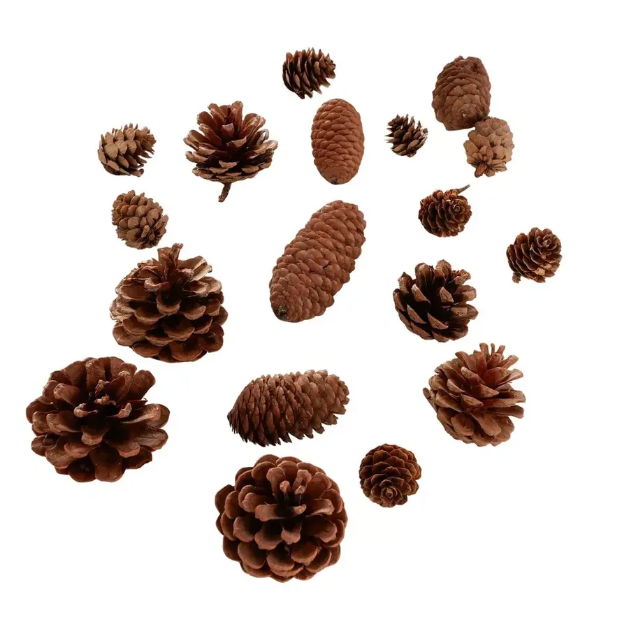 Decoratief strooisel Coney 18-delig met natuurlijke dennenappels