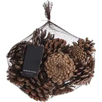 Natuurlijke dennenappel set 300 gram voor decoratie