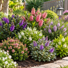 Hebe mix | 13 cm pot | 20 cm hoog | per stuk