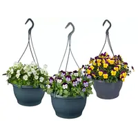 Viola cornuta Endurio gemengd | hangviool per stuk | 40 cm hoog | 25 cm hangpot | rijkbloeiende tuinplant