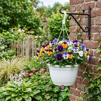 Viola cornuta Endurio gemengd | hangviool per stuk | 40 cm hoog | 25 cm hangpot | rijkbloeiende tuinplant