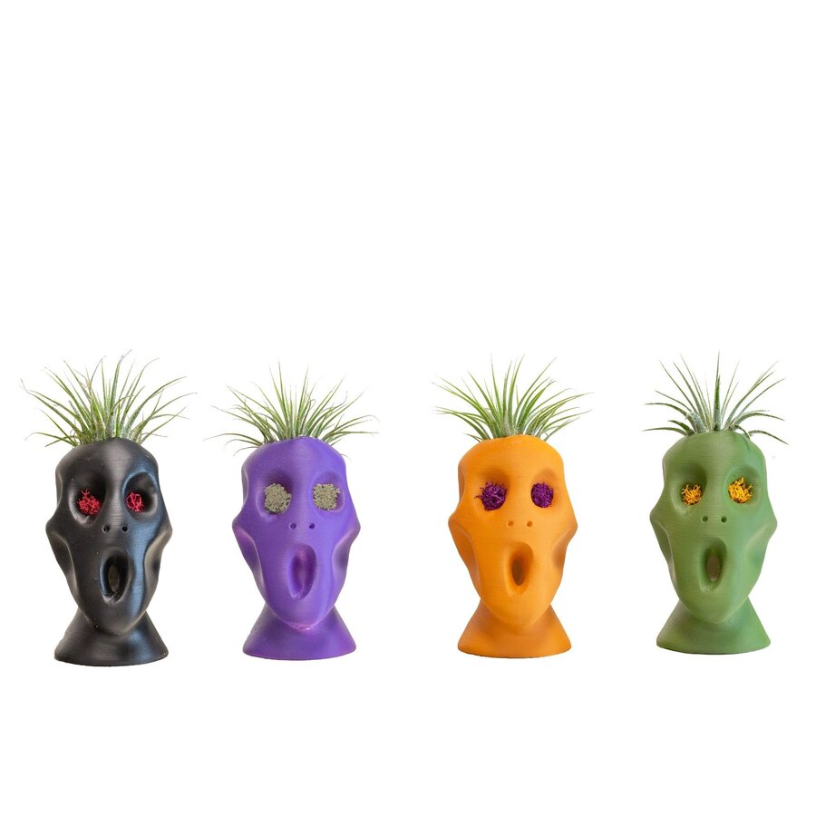 Halloween bloempotje met Tillandsia luchtplant | 4 cm pot | ca. 12 cm hoog