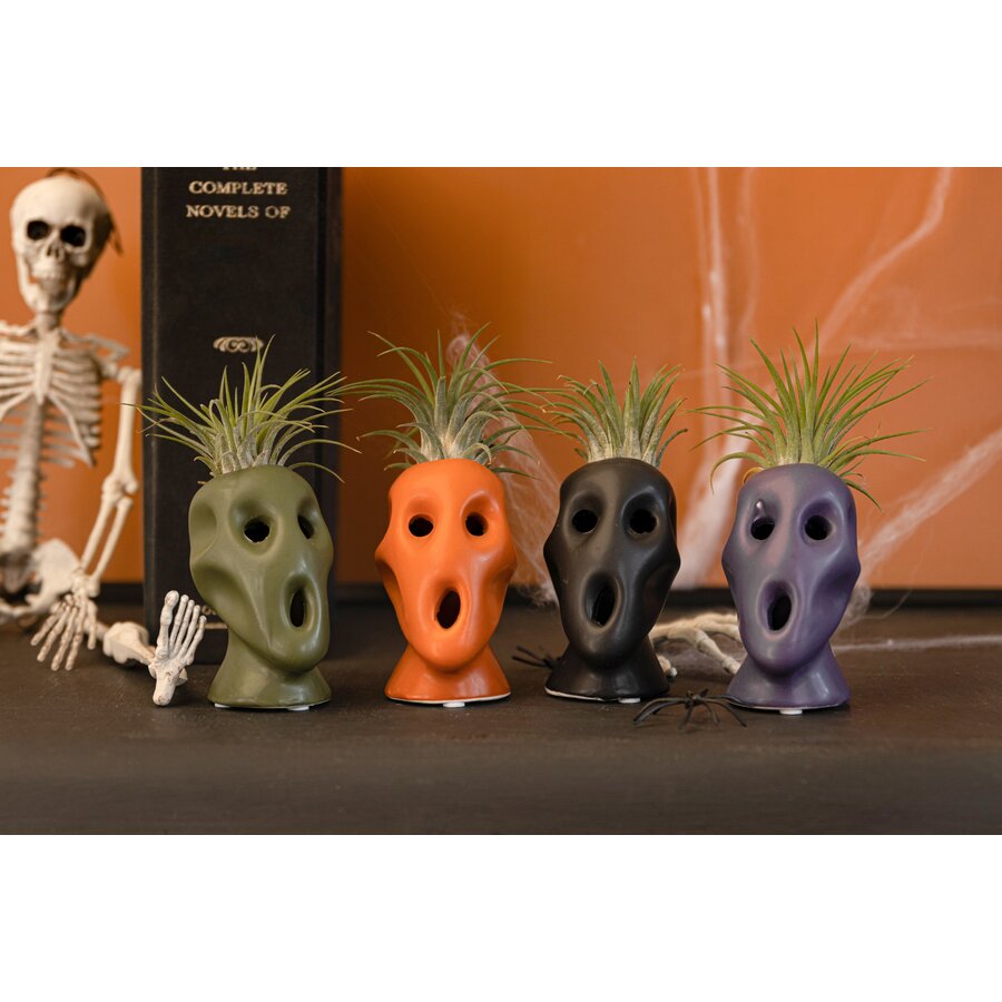 Halloween bloempotje met Tillandsia luchtplant | 4 cm pot | ca. 12 cm hoog