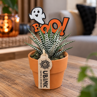 Haworthia fasciata Alba in grijze terracottapot met Halloween steker | potmaat 10 cm | ca. 18 cm hoog
