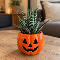 Haworthia fasciata 'Big Band' | succulent in keramieken Halloweenpot | 5,5 cm pot | 10 cm hoog
