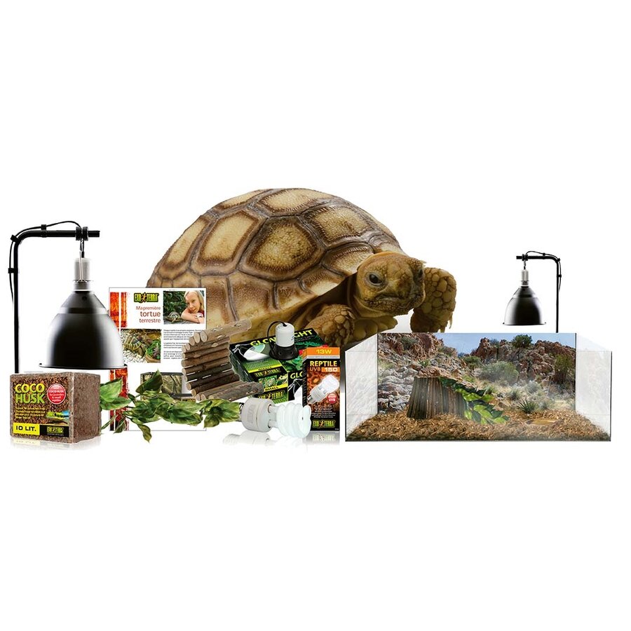 Landschildpad terrarium starterkit 60 x 35 x 23 cm | Glazen verblijf inclusief verlichting, bodembedekking, schuilhuis en decoratie