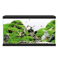 Ciano Aqua 60 LED CF80 | 58L | 60 x 30 x 33CM Zwart Aquarium