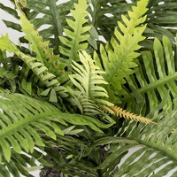 Aqua D'ella Kunstplant Varen Groen