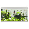 Akvastabil Family 80 | 112L | 80 x 35 x 42CM Grijs/wit