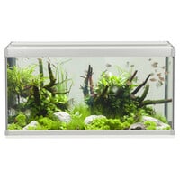 Akvastabil Family 80 | 112L | 80 x 35 x 42CM Grijs/wit