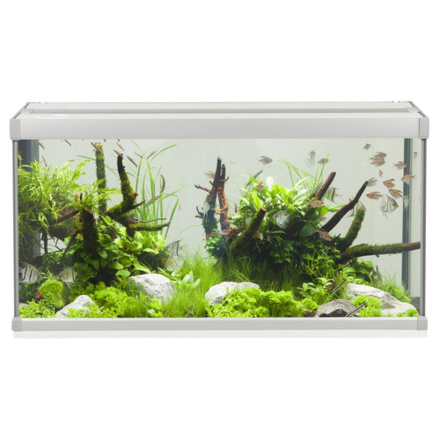 Akvastabil Family 80 | 112L | 80 x 35 x 42CM Grijs/wit