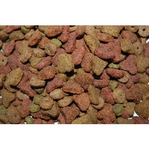 Hadivo Kattenbrok 5-mix 10KG