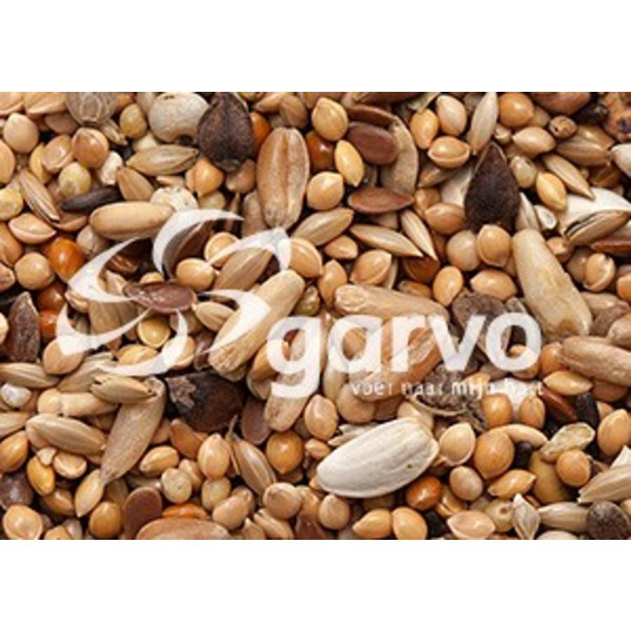 Agapornidenzaad (9111) - zaadmengeling voor kleinere kromsnavels