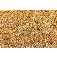 Natuurlijk stro voor knaagdieren en pluimvee | 1 kg, 2,5 kg of 5 kg