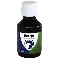 Enerfit kwik start lam 100ML